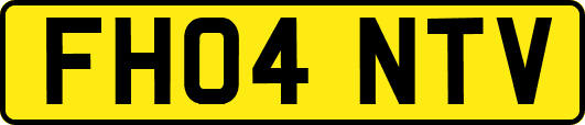 FH04NTV