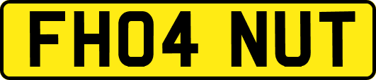 FH04NUT