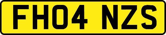 FH04NZS