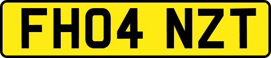 FH04NZT