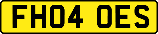 FH04OES
