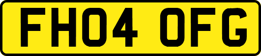 FH04OFG