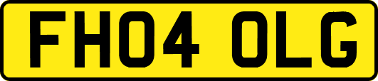 FH04OLG