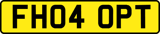 FH04OPT