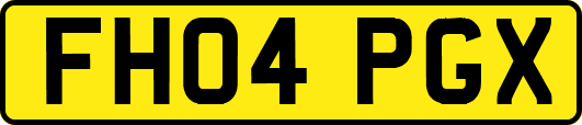 FH04PGX
