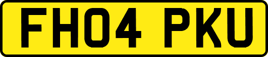FH04PKU