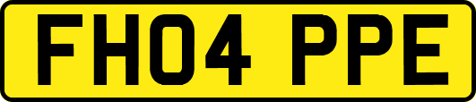 FH04PPE