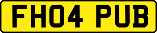 FH04PUB