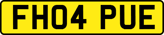 FH04PUE