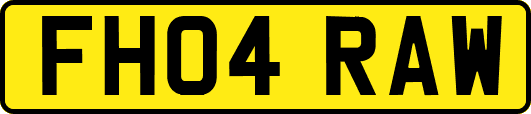 FH04RAW