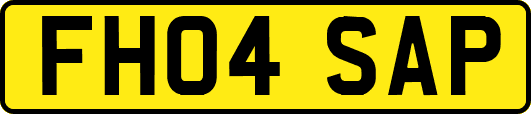 FH04SAP