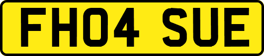 FH04SUE