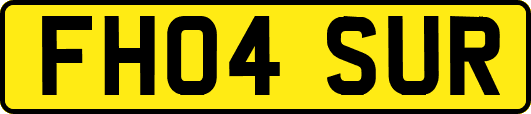 FH04SUR