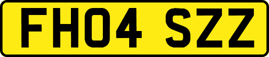 FH04SZZ