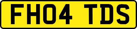 FH04TDS