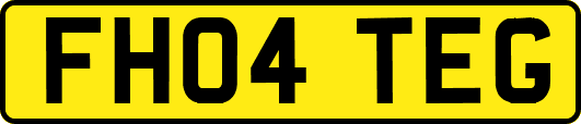 FH04TEG