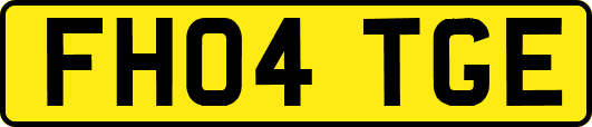 FH04TGE