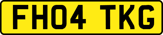 FH04TKG