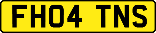 FH04TNS