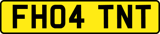 FH04TNT