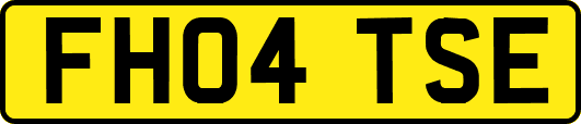 FH04TSE