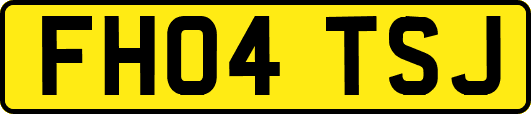 FH04TSJ