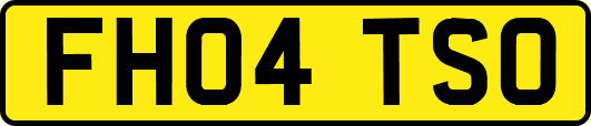 FH04TSO