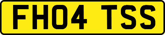 FH04TSS