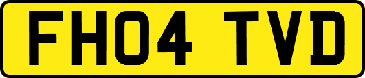 FH04TVD