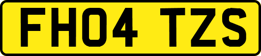 FH04TZS