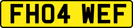 FH04WEF