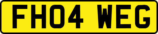 FH04WEG