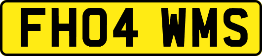 FH04WMS