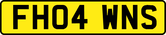 FH04WNS