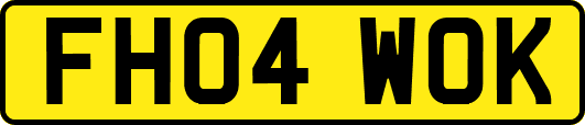 FH04WOK