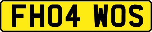 FH04WOS