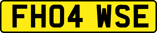 FH04WSE