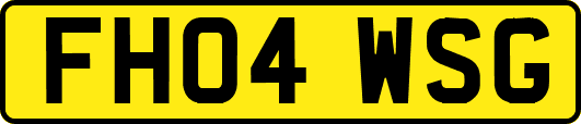 FH04WSG