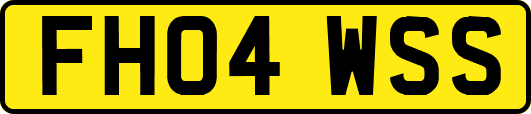 FH04WSS