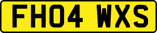 FH04WXS