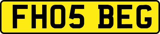 FH05BEG