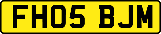 FH05BJM