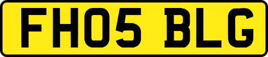 FH05BLG
