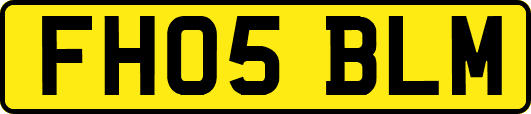 FH05BLM