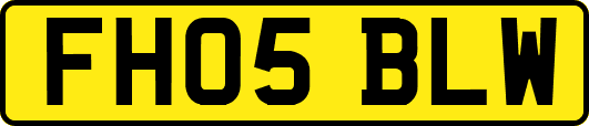 FH05BLW