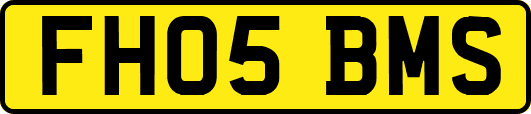 FH05BMS