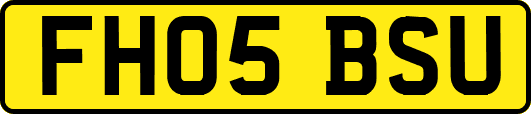 FH05BSU