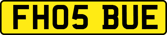 FH05BUE