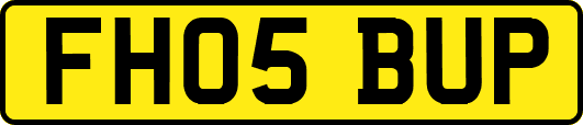 FH05BUP