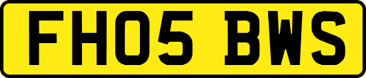 FH05BWS